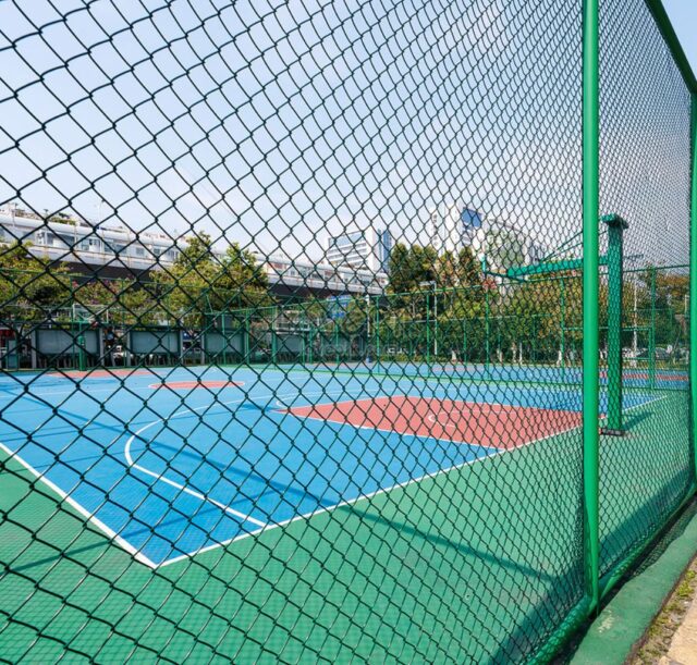 30 Gelanggang Bola Keranjang